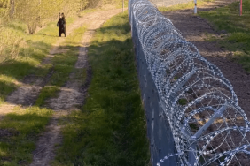 Increasing defense capabilities: Poland and Lithuania's plans for the borders with Russia and Belarus
