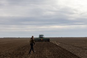 A budget subsidy will be available for farmers from the de-occupied territories: details