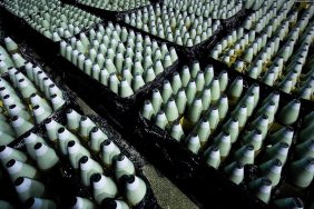 Production of ammunition in Ukraine will grow: new government decrees