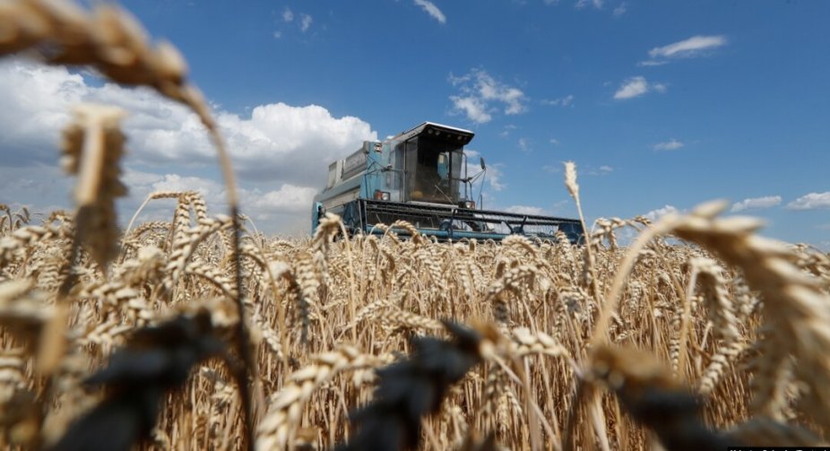 USAID відкриває програму Harvest: 60 млн. доларів для розвитку українського сільгоспвиробництва