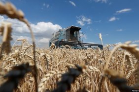 USAID відкриває програму Harvest: 60 млн. доларів для розвитку українського сільгоспвиробництва