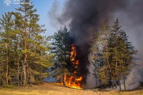 Лісові пожежі на Харківщині: вогонь охопив майже 4 тисячі гектарів