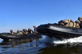 Нардеп: Комітет Ради може розглянути операцію в Кринках на предмет ефективності, доречності, втрат