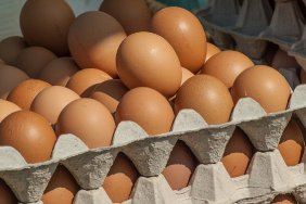 ЄС відновив мита на українські яйця та цукор через перевищення квот