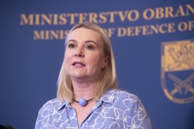 У Чехії планують створити легіон добровольців з українців за прикладом Польщі