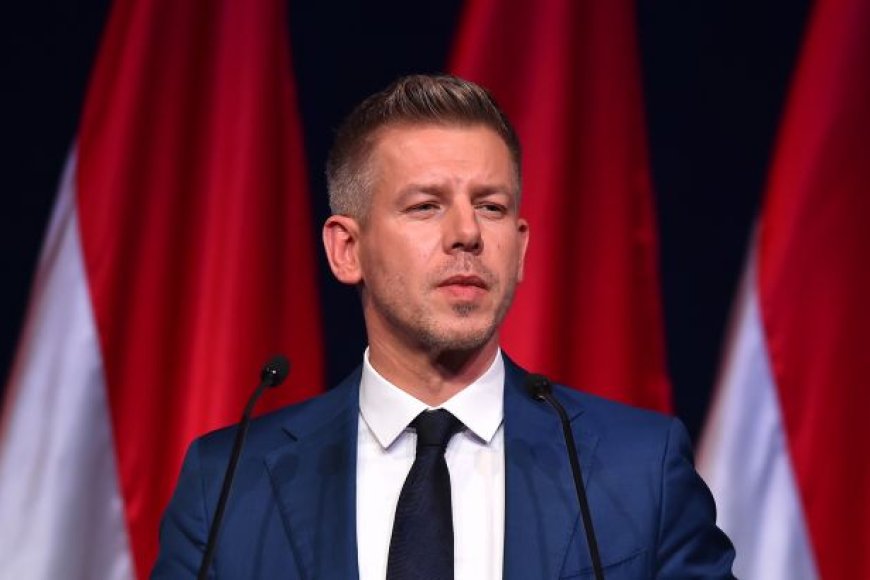 Hungary ready to allow transit of Ukrainian grain, – Péter Magyar